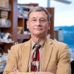 Jerry Vockley, MD, PhD  headshot